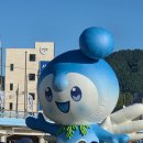 장흥 | 2026 정남진장흥물축제 후기 | 물폭탄부터 대왕장어 체험까지!