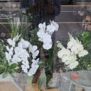 신대동공인중개사사무소 이미지