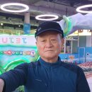 제주도토리 이미지
