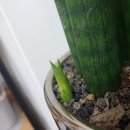 블리비의원 이미지