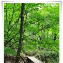 인제17-3 이미지