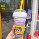 용인처인빽다방 | 용인 처인구 카페 빽다방 신메뉴 생크림 우베라떼 칼로리 내돈내산 후기