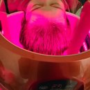 중동 1255 이미지