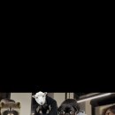 축제컴퓨터실 이미지