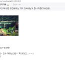 디시80
