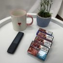 오토오아시스 라인점 | 테리아 스틱 펄 종류 추천 및 호환 기기 후기 공유