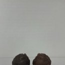 다우茶友 이미지