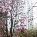 맑은아침아파트경로당 이미지