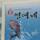 영애네 | 강원도 속초 여행 현지인 맛집 외옹치항 [영애네횟집] 후기