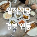 일직식당 | 안동 간고등어 맛집 일직식당 재방문 후기 및 웨이팅 방법