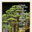태성그린산업 이미지