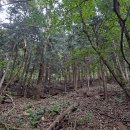 입압면사무소 이미지