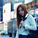 신나라 티스토리