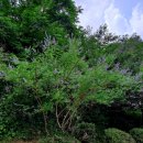 너와집쉼터 화장실 이미지