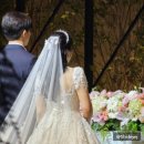 결혼준비 총정리 시기별 일정 타임라인