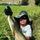 부라더스 이미지