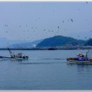 유람선선착장2 이미지