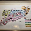 킹덤키즈 이미지