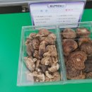 곡성 국립농산물품질관리원 이미지