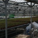 아침농장 이미지