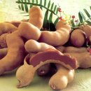 타마린드 이미지