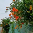 무룡경로당 이미지