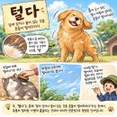 10월20일 공학여지도288 : 털 이미지