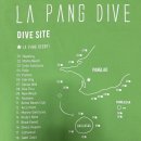 재호환경 | [다이빙여행] 필리핀 보홀: 라팡리조트(한입샵) *강추!!