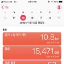 리틀나인 이미지