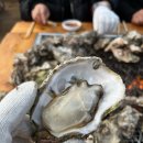 대부도 굴구이, 석화찜 반반 가능한 집 (인천, 오이도 근처)