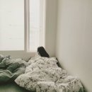 마리우스 | 생활형 미니멀리스트의 이케아 제품 10년 찐 사용 후기 2 - 안방, 아이들 방, 욕실, 전실, 조명 모음