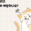 수색동물병원 이미지