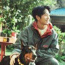 정해인 카카오 검색결과