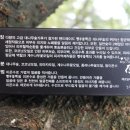 계수나무핸드메이드 이미지