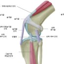 다온동물병원 이미지