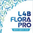 매일약국 이미지