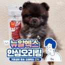 엉아농수산물 | 기호성 좋은 강아지 오리고기 간식 뉴알엑스 안심오리링 후기