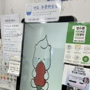 요거트월드조례점