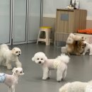 옐레드 부천 신중동점 이미지