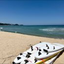 남애서핑클럽 이미지