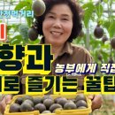 부량농장 네이버블로그