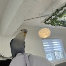 서우광고기획 이미지