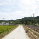 자등 5리 이미지