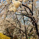 능북초등학교 이미지