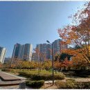 엠밸리공인중개사사무소 이미지