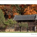 보덕사해우소 이미지