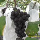 영재어린이집 이미지