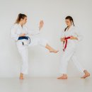 히포 유도장 이미지