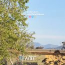 트레이더스 이미지