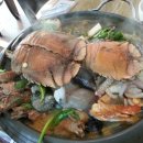 제주다반사 이미지